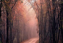 非凡娱乐：东契奇连续16场得分20+，成湖人队史第三位后卫球员.