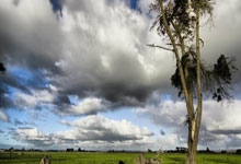 门兴前锋普莱亚德甲生涯次戴帽，对手都是不莱梅.